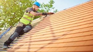 Best Metal Roofing Installation  in Ozona, TX