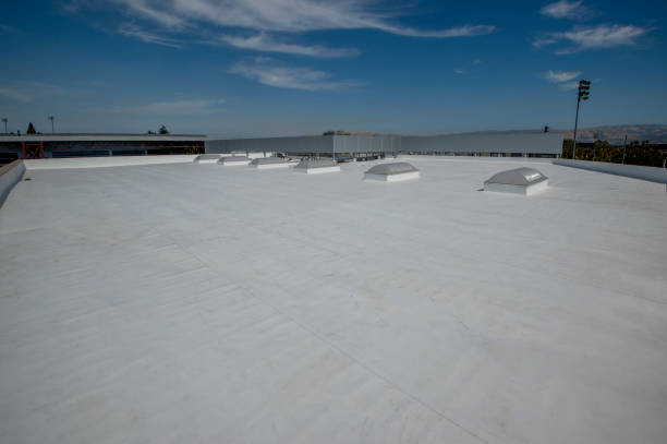 Best Steel Roofing  in Ozona, TX