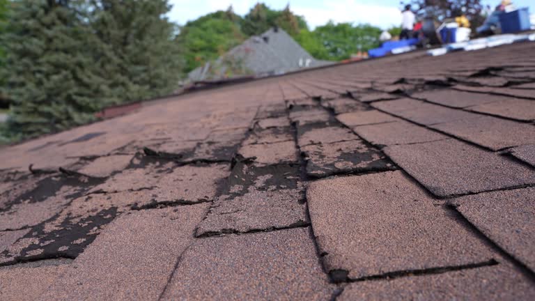 Best Roof Repair  in Ozona, TX