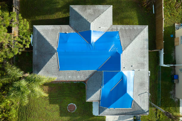 Best Roof Ventilation Installation  in Ozona, TX