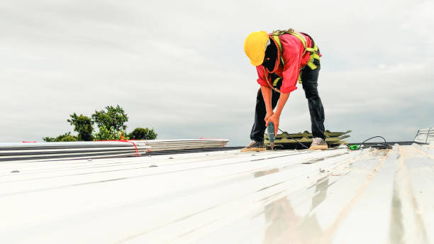 Best Gutter Installation and Repair  in Ozona, TX