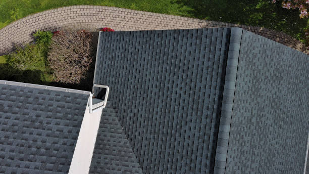 Best Roof Leak Repair  in Ozona, TX