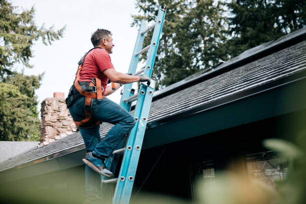 Best Storm Damage Roof Repair  in Ozona, TX