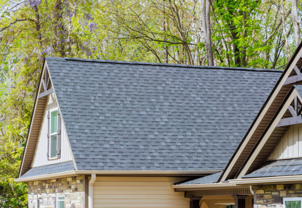 Best Gutter Installation and Repair  in Ozona, TX