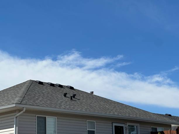 Best Roof Maintenance and Cleaning  in Ozona, TX